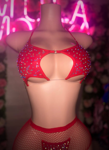 STARKINI - Ruby Red Bikini & Fishnet